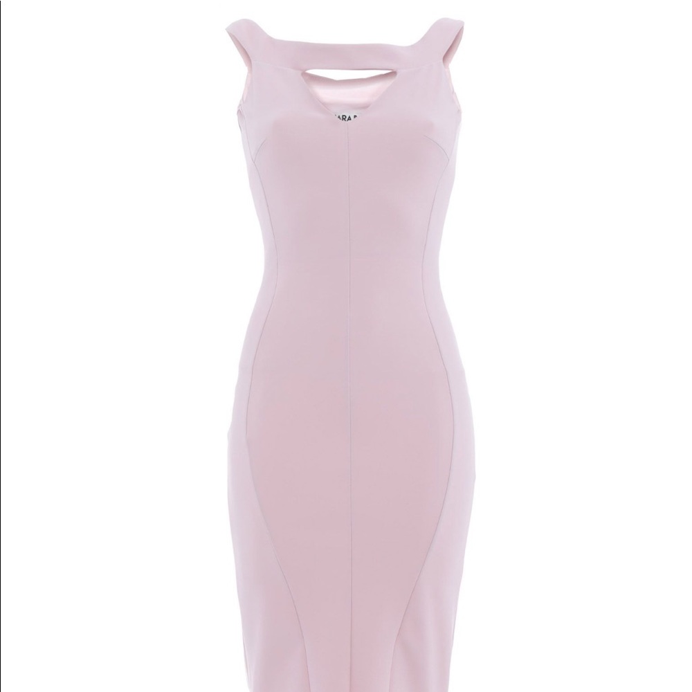 Chiara Boni dress (Light Pink)